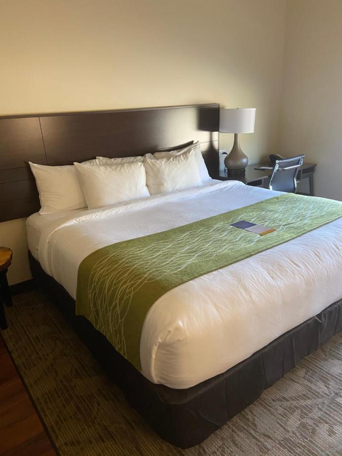 Inn Comfort Connellsville